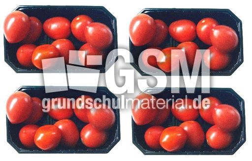 Tomaten-4x9.jpg